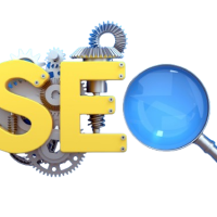 SEO Expert 