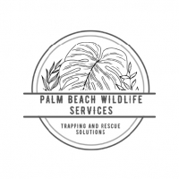 Palm Beach Wildlife Services