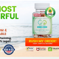 Koi CBD Gummies