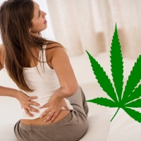 Bioheal Blood CBD Gummies