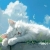 bebesad120