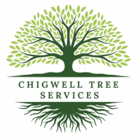Chigwell Tree Services