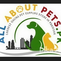 All About Pets