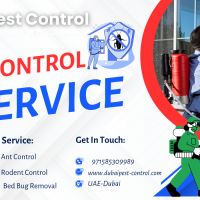 Pest Control Dubai