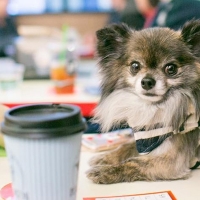 Biocentrism's debunked