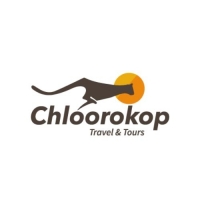 chloorokop