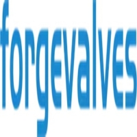 China Topper Forged Valves