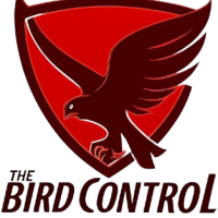 birdcontroldubai