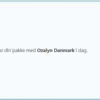ozalynkapsler