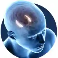 Billionaire Brain Wave