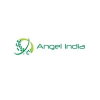 Angel India Cad Cam Pvt. Ltd.