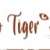 Paleo Tiger