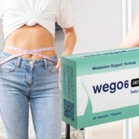 Wego6