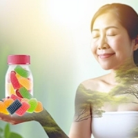 Seanebgummy