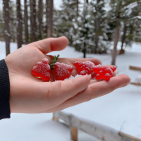 Natural Bliss CBD Gummies